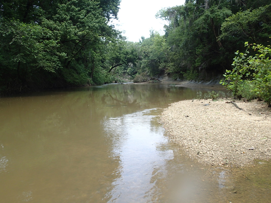Bogue Chitto Creek